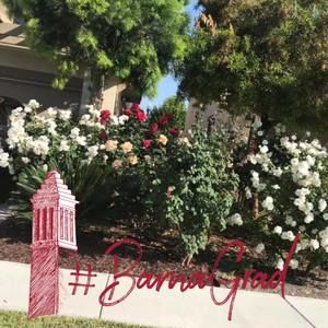 Meet your Posher, Tracey